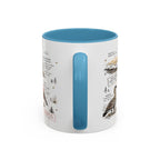 Haleakala National Park Coffee Mug | Hawaii Maui Sunrise Crater Gift | Accent Color Ceramic 11oz 15oz