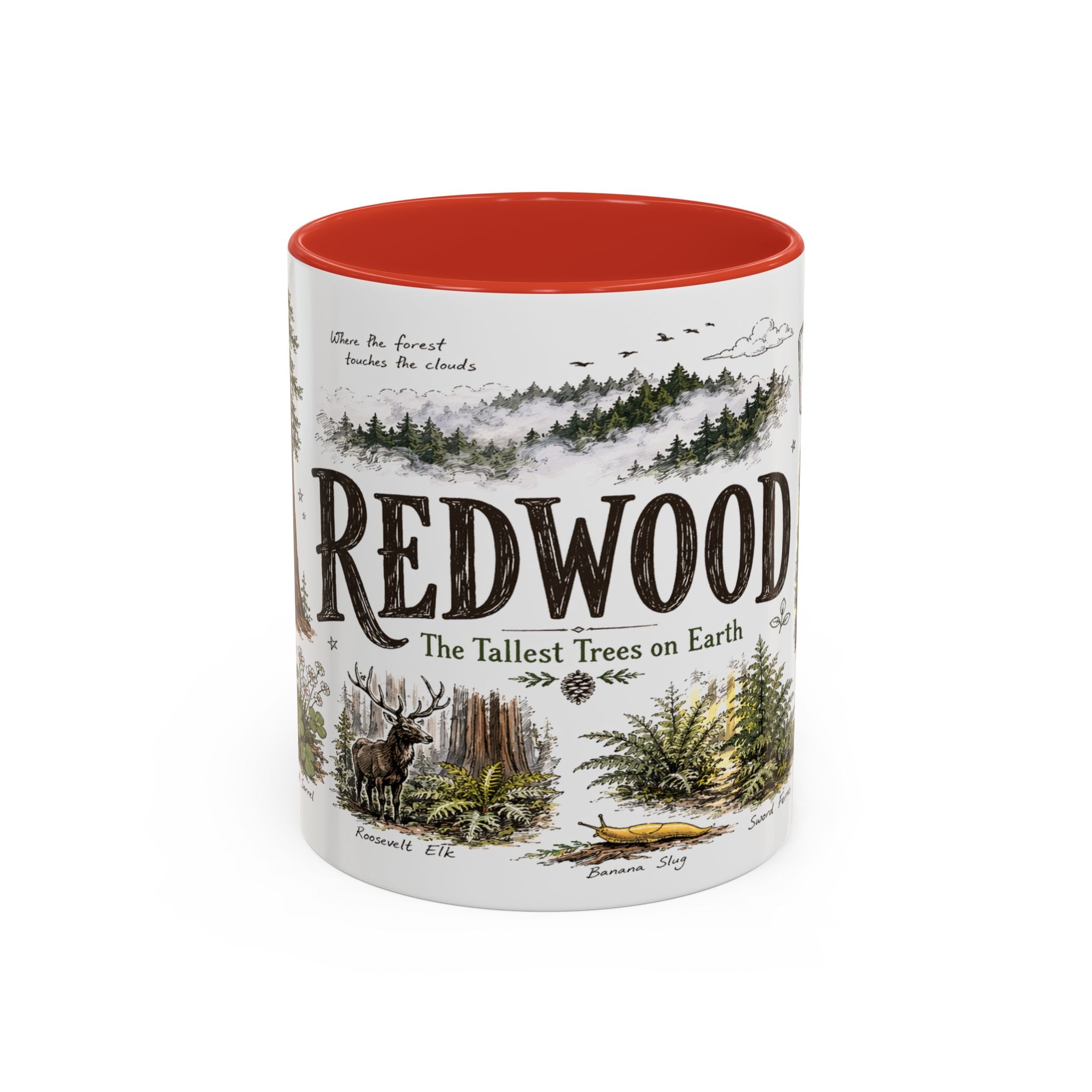 Redwood National Park Coffee Mug | California Coastal Forest Hiking Gift | Accent Color Ceramic 11oz 15oz