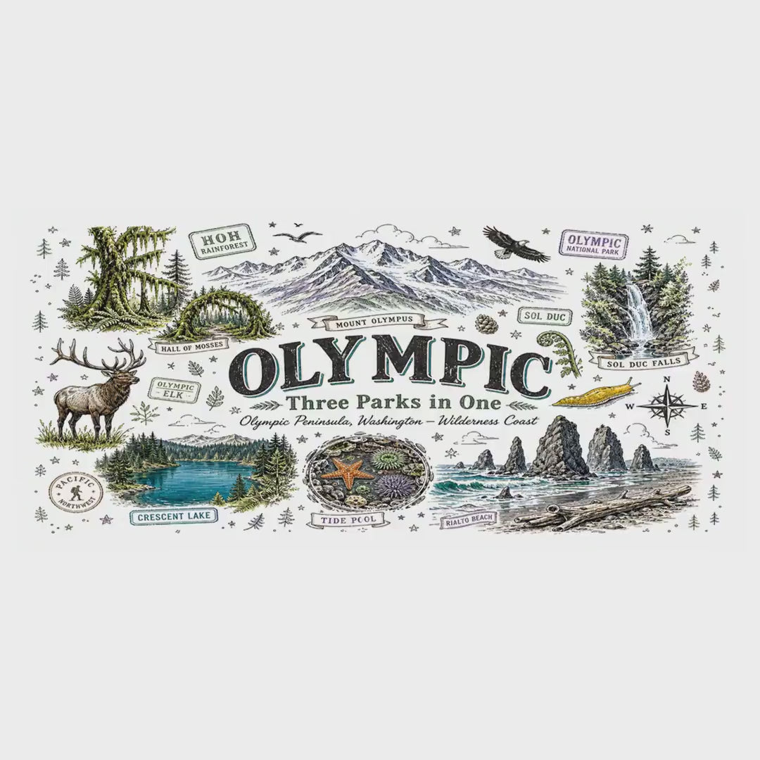 Olympic Coffee Mug | National Park Hiking Rainforest Gift | Accent Color Ceramic 11oz 15oz video