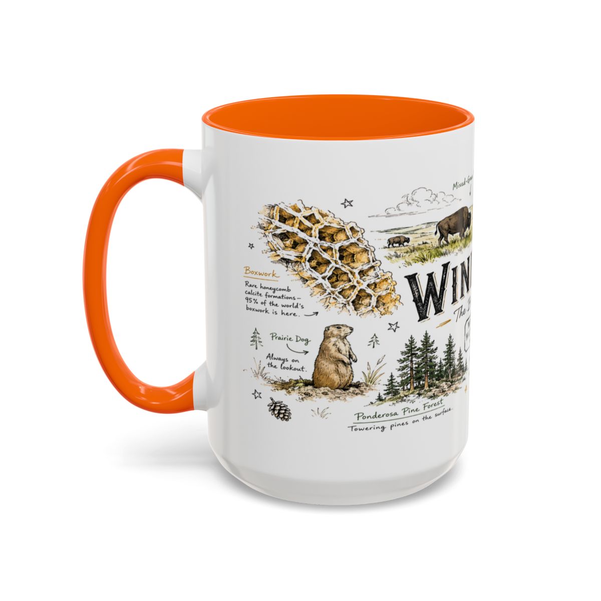 Wind Cave National Park Coffee Mug | South Dakota Cave Bison Prairie Gift | Accent Color Ceramic 11oz 15oz