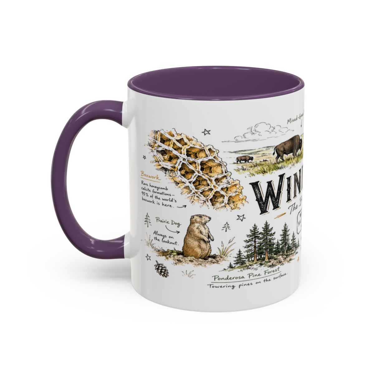 Wind Cave National Park Coffee Mug | South Dakota Cave Bison Prairie Gift | Accent Color Ceramic 11oz 15oz