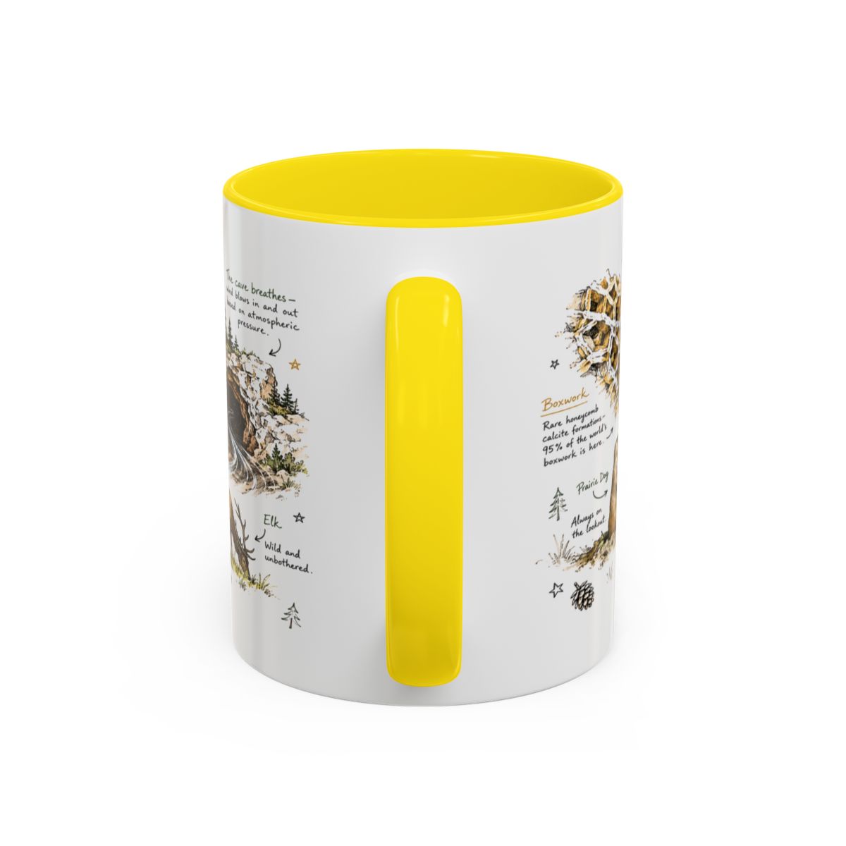 Wind Cave National Park Coffee Mug | South Dakota Cave Bison Prairie Gift | Accent Color Ceramic 11oz 15oz