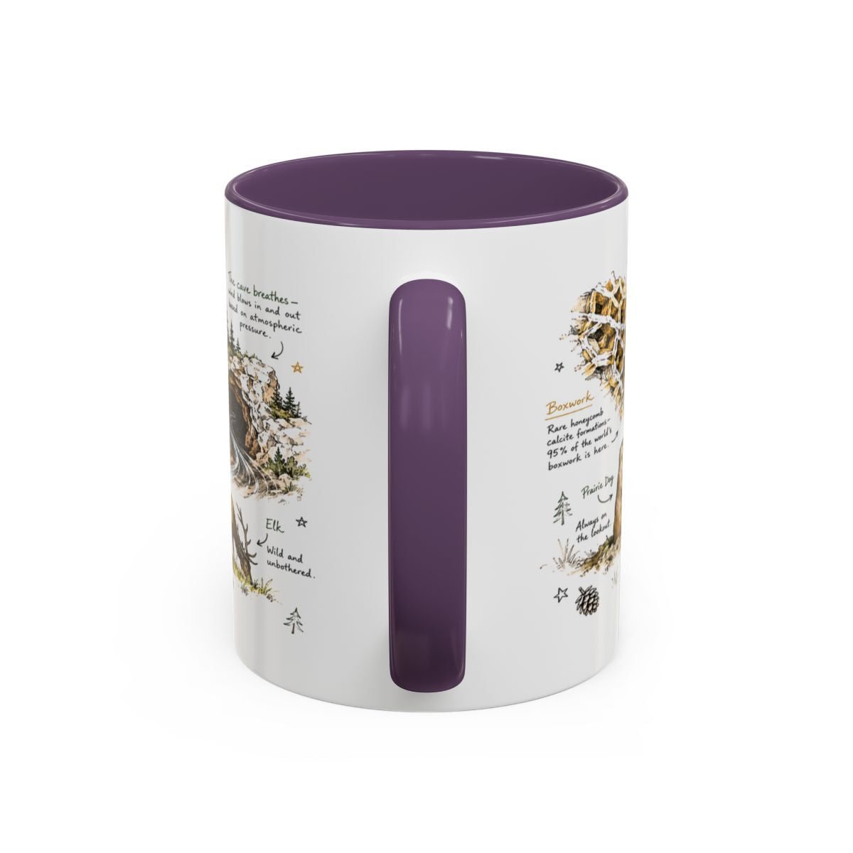 Wind Cave National Park Coffee Mug | South Dakota Cave Bison Prairie Gift | Accent Color Ceramic 11oz 15oz